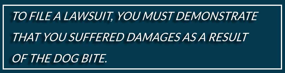 Dog Bite Lawyer in Kentucky | Rhoads & Rhoads Law Firm