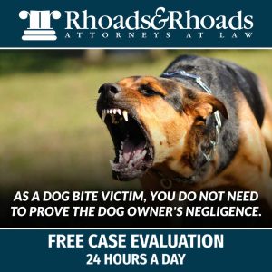 dog owner negligence