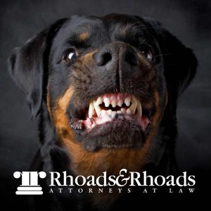 kentucky dog bite attorney