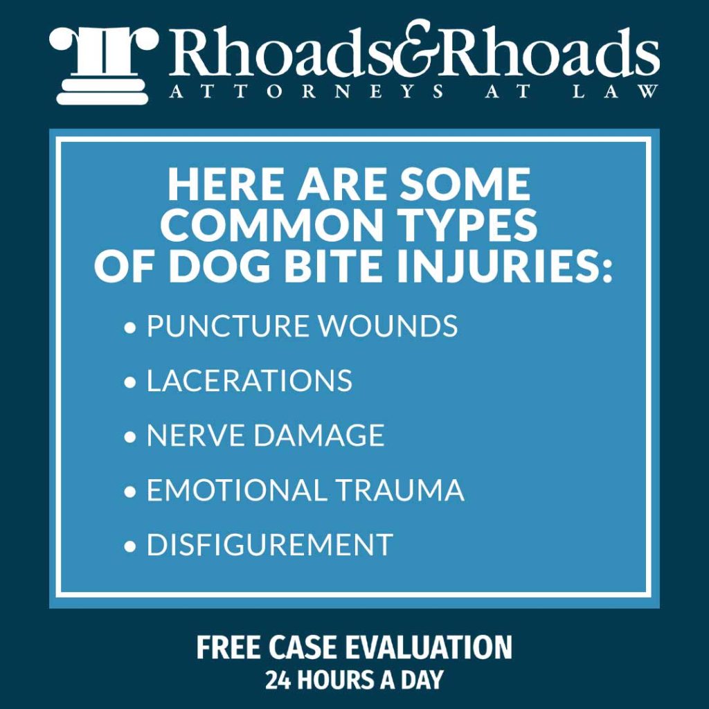 Dog Bite Lawyer in Kentucky | Rhoads & Rhoads Law Firm