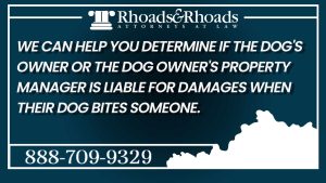 dog owner liability